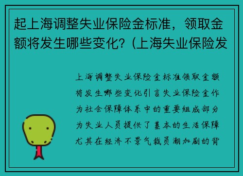 起上海调整失业保险金标准，领取金额将发生哪些变化？(上海失业保险发放标准)