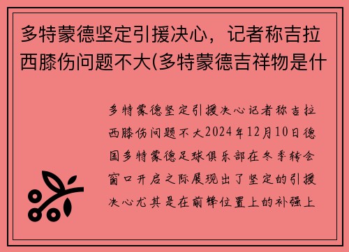 多特蒙德坚定引援决心，记者称吉拉西膝伤问题不大(多特蒙德吉祥物是什么动物)